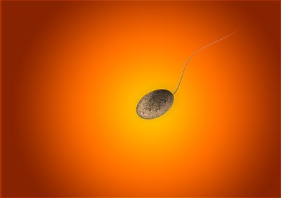sperium-326157_640