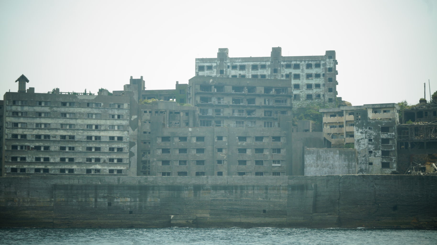 軍艦島 歴史的背景と周回クルーズ 鳥になりたい人