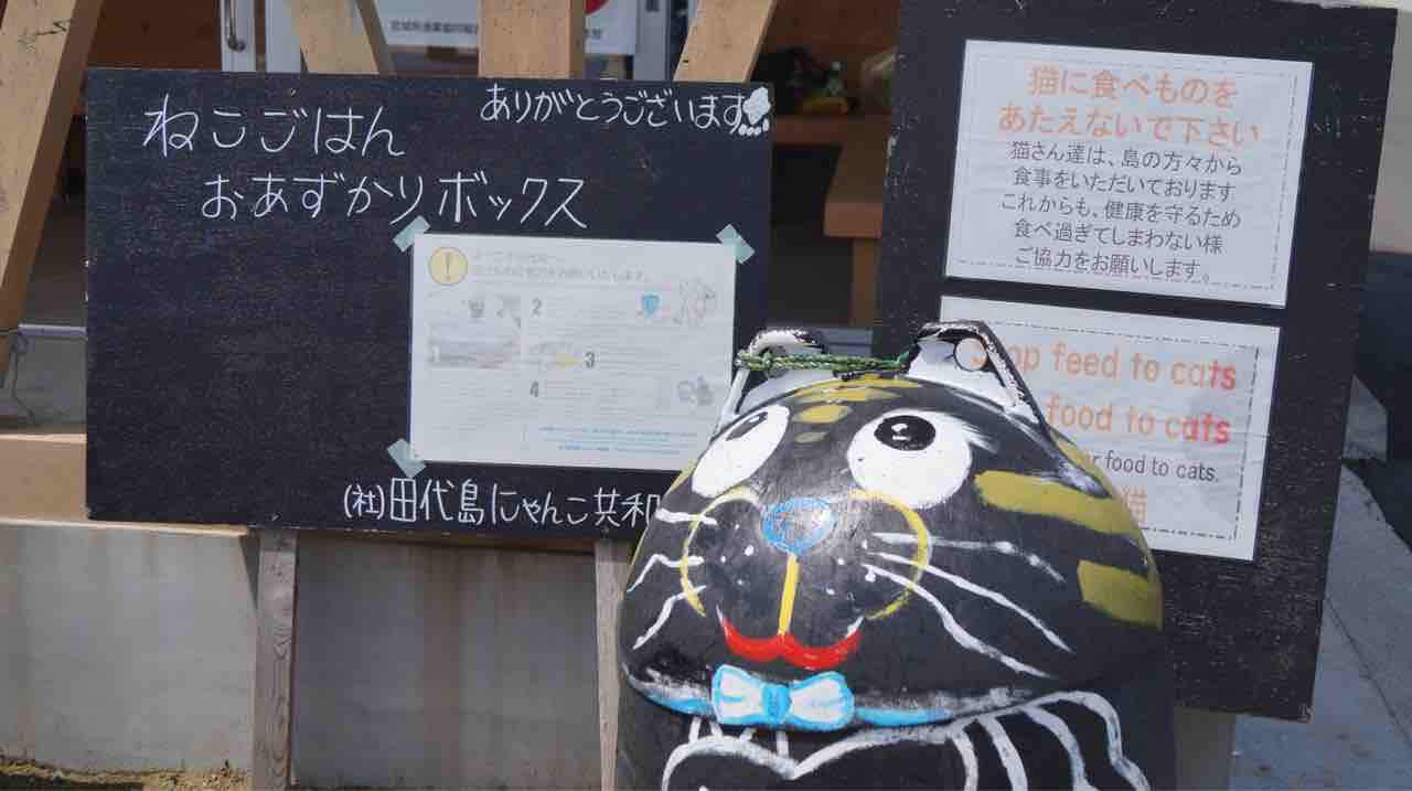 猫島 田代島 鳥になりたい人 猫島 田代島 鳥になりたい人