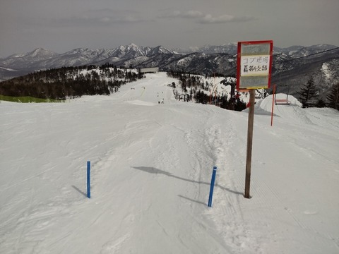 16471395718810