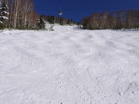 17669718043900