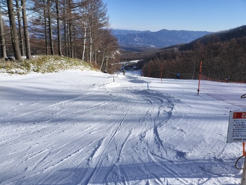 17674006424371