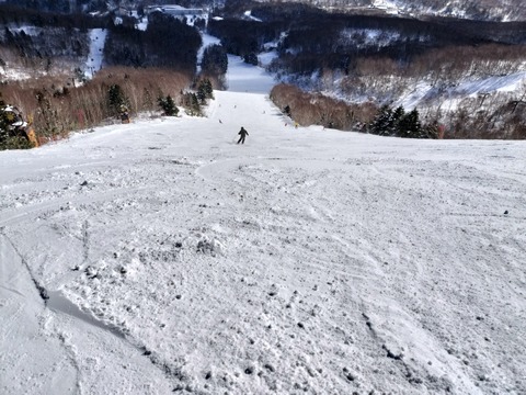 17671507520640