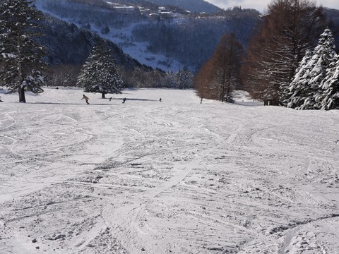 17371771438356
