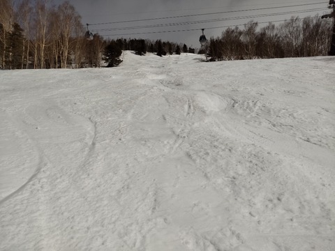 16483448630471