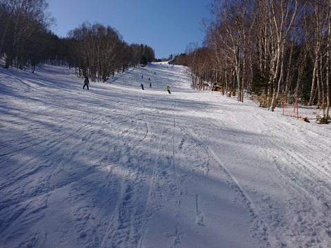 15847763076286