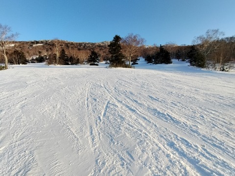 17687206209741