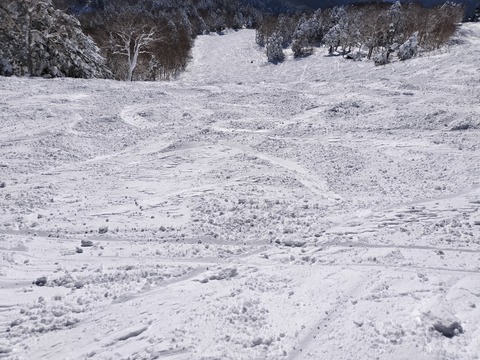 17371771325133
