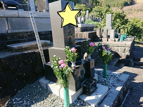 20-02-01-21-42-29-694_deco