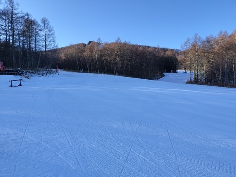 17658407952651