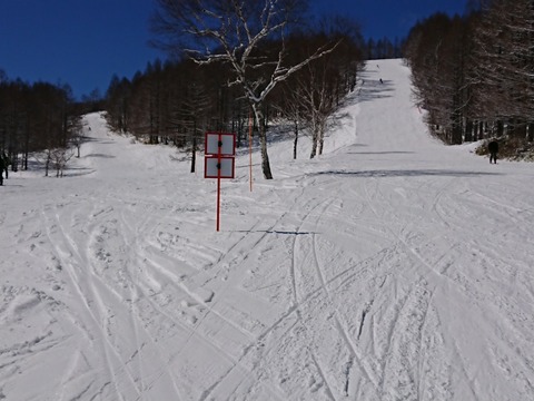 15842388754225