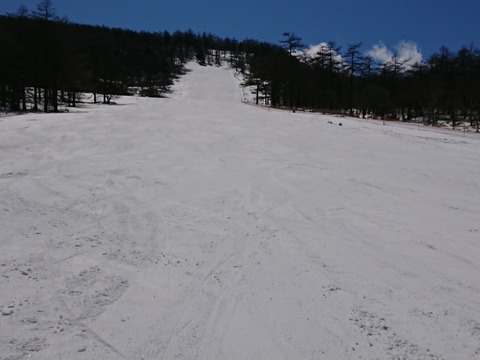 15849767986614