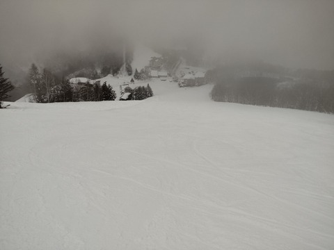 16429964414992