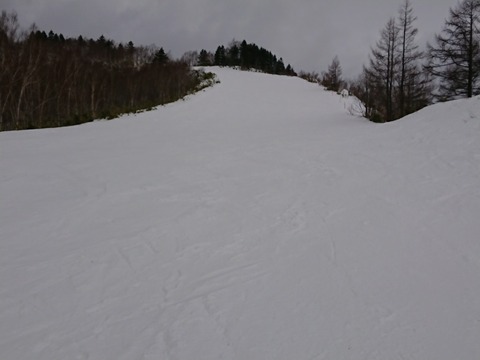 15794929863034