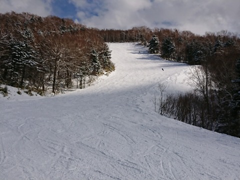 15842600420682