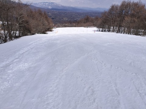 17433055152104