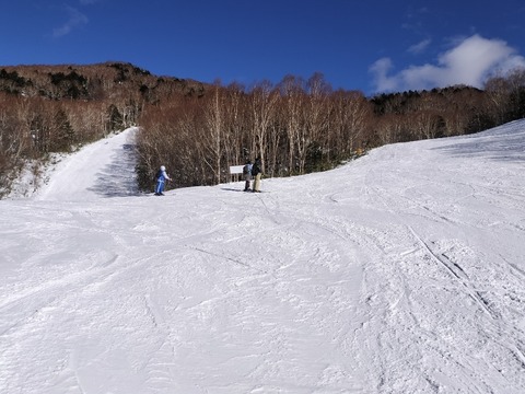17671548030522