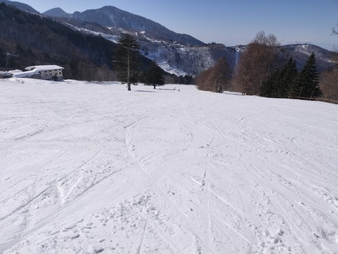 17711299377605