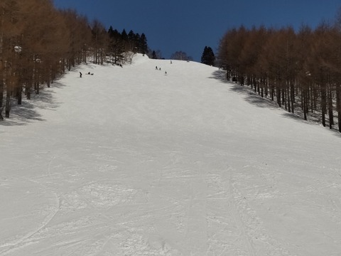 16470518277340