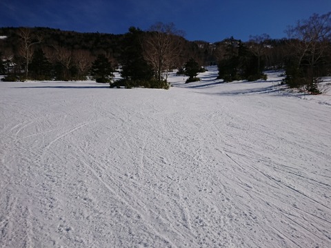 15800123178908