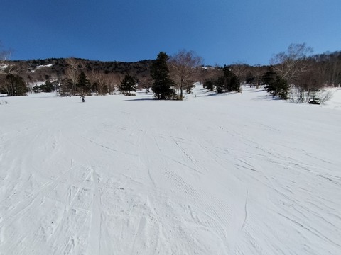 17740634159020