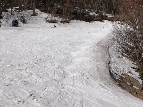 17450187845591