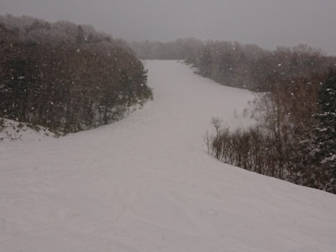 15795946376972