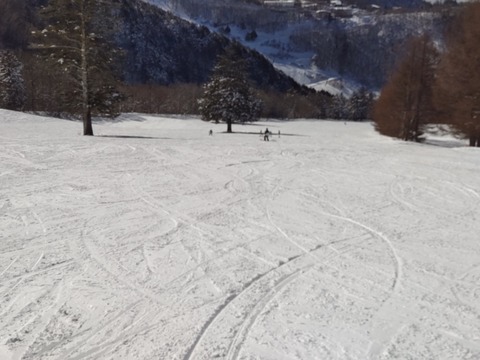 16755702514057