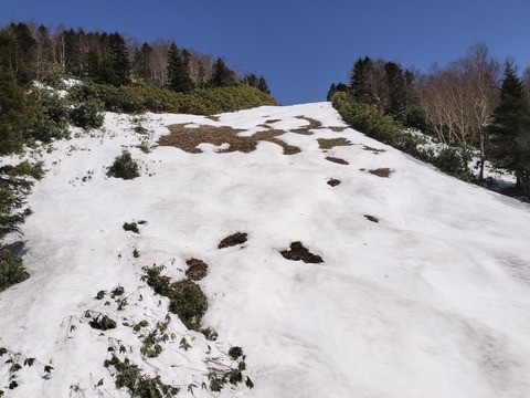 17135794758631