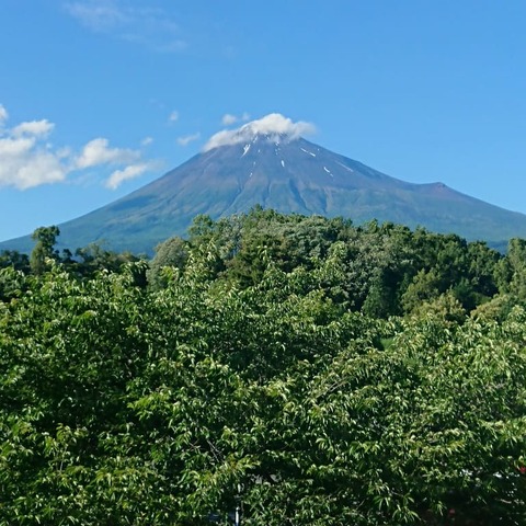 IMG_20190616_163245_216