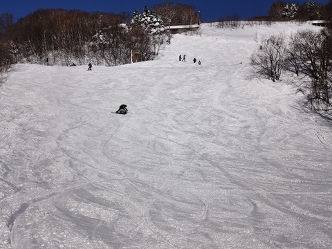 17371771401235