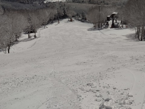 16512764523600