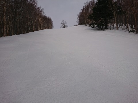 15816451247221