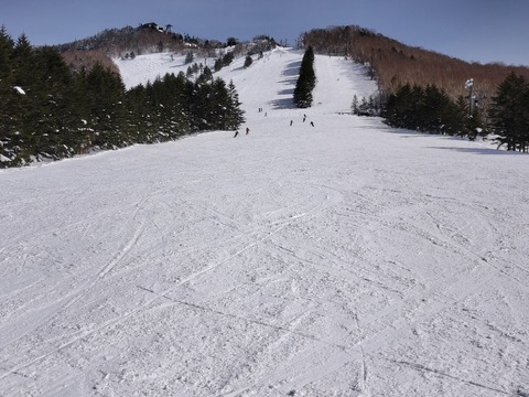 17396805732210