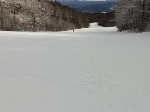16764308373820