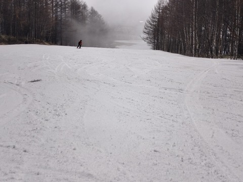 17739660381211