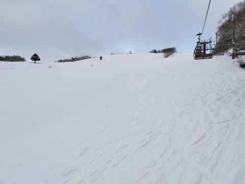17692103689133