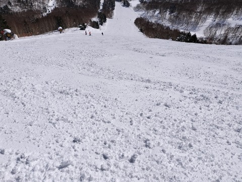 17396728499280