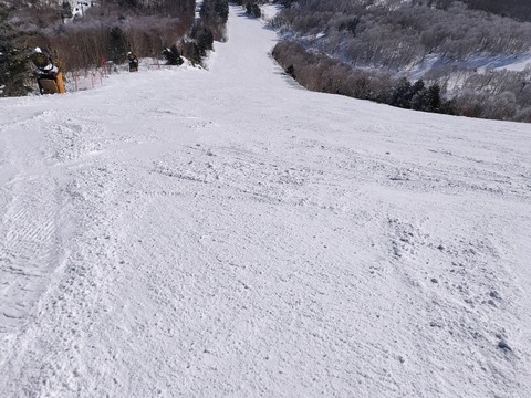 17687071771370