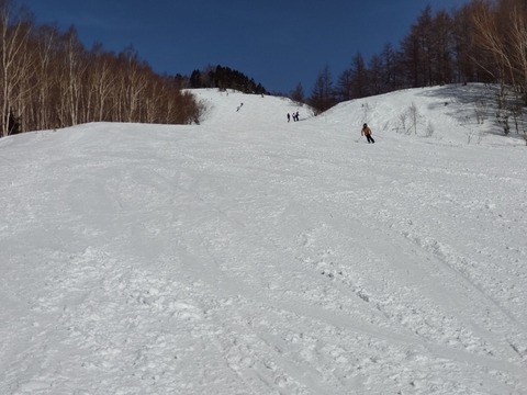 16761675442961