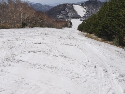 17135932318050