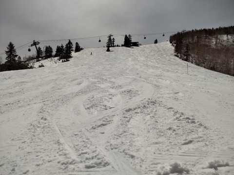 16512997877911