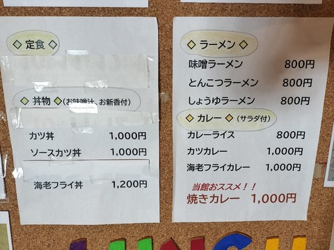 17729423921673