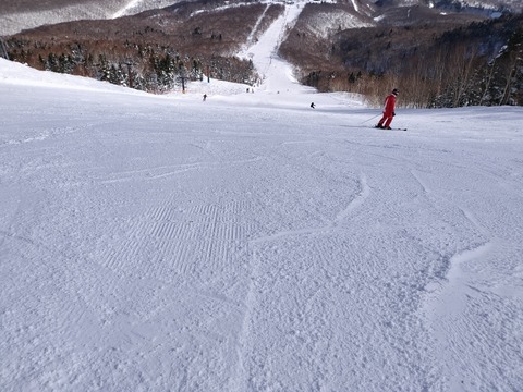 17396662022550