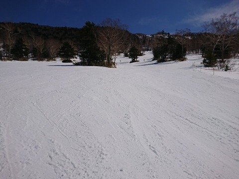 15847663379429