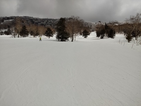 16484399115633