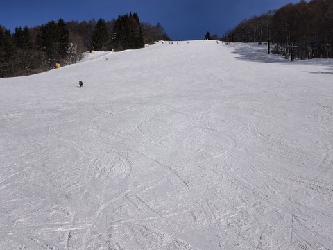17699214853770