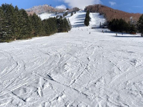 17671537789510