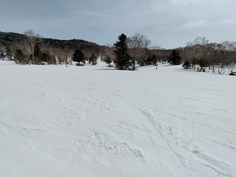 17741520208842