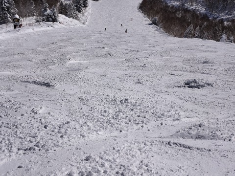 17371682348060